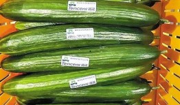 a圈惊天大瓜.黄瓜c,黄瓜c引发热议，揭秘背后真相